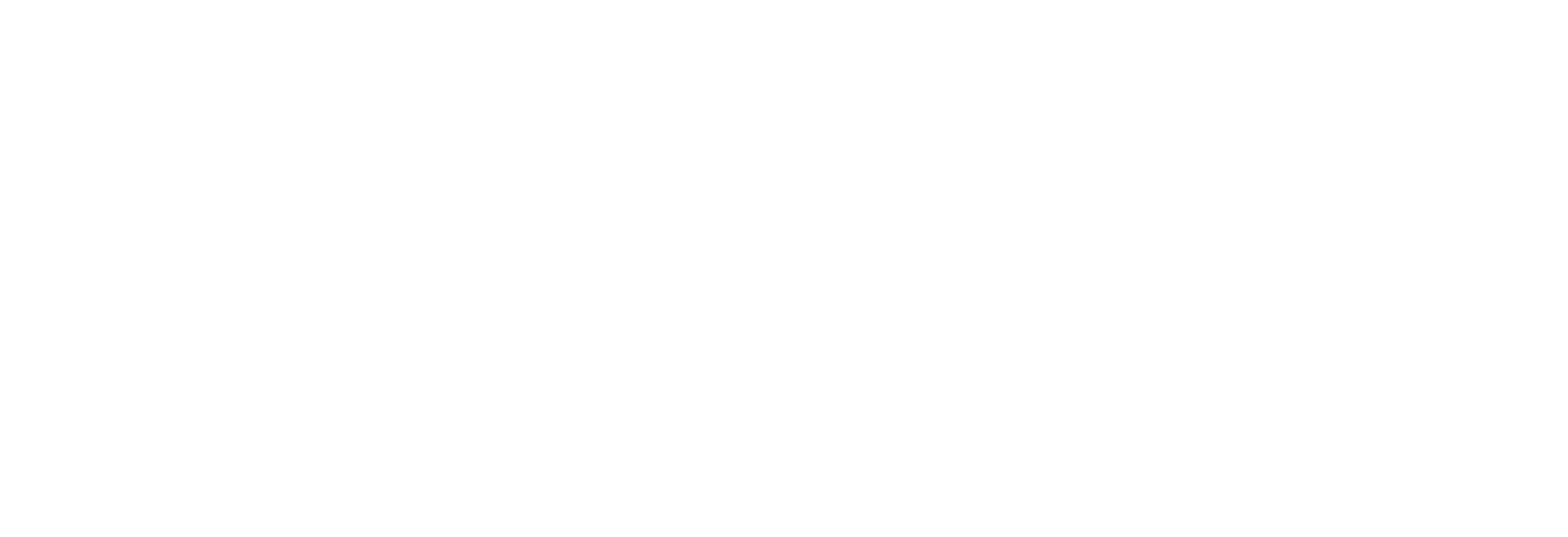 Digipeak - Logo-White